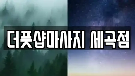 서울 강남구 세곡동 에스테틱,산후조리원,한의원,산부인과,피부과 22 위치정보