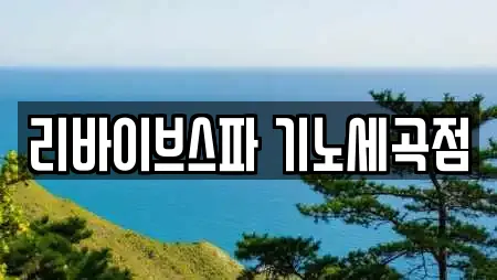 리바이브스파 기노세곡점