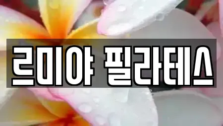 르미야 필라테스