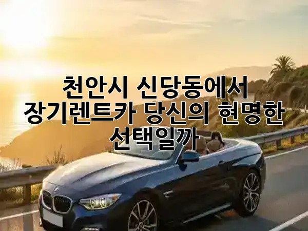천안시 신당동에서 장기렌트카, 당신의 현명한 선택일까? 🤔