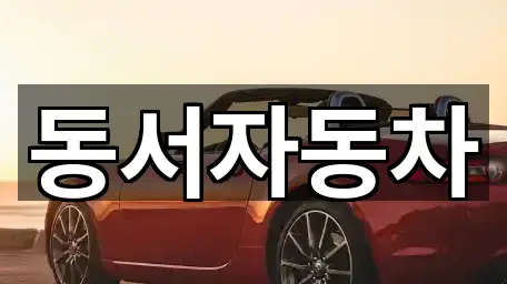 경남 창원시 마산합포구 월포동 중고차 5곳 지도로 확인