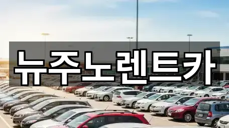 뉴주노렌트카