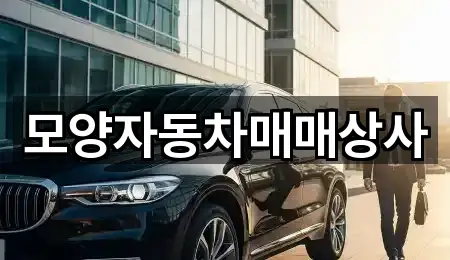 모양자동차매매상사