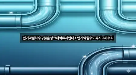 변기막힘하수구뚫음싱크대역류세면대소변기막힘수도꼭지교체수리