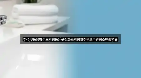 하수구뚫음하수도막힘뚫는곳정화조막힘횡주관오주관청소맨홀역류