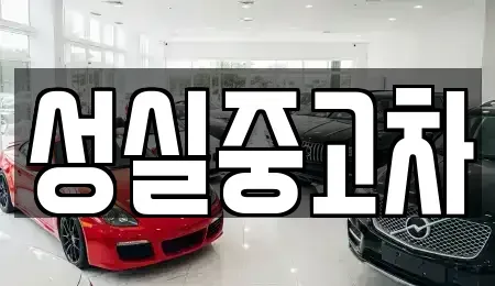 강원 태백시 문곡동 중고차 전문 성실중고차