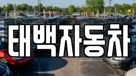 강원 태백시 문곡동 중고차 전문 태백자동차