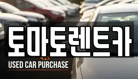 경기도 과천시 부림동 렌트카 전문 토마토렌트카