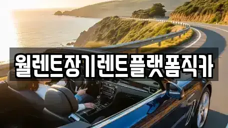 경기도 과천시 부림동 장기렌트카 전문 월렌트장기렌트플랫폼직카