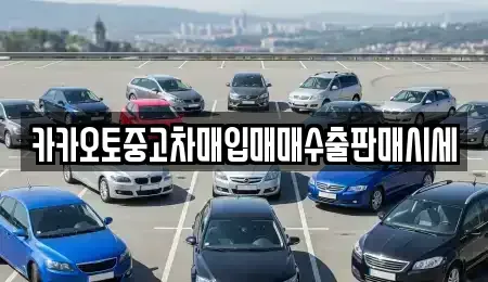 경기도 과천시 부림동 중고차매입 전문 카카오토중고차매입매매수출판매시세