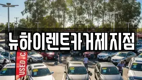 경남 거제시 옥포동 렌트카 전문 뉴하이렌트카거제지점