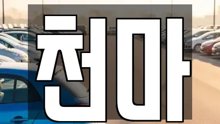 경남 거제시 옥포동 렌트카 전문 천마