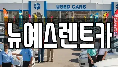 대구 북구 고성동1가 렌트카 전문 뉴예스렌트카