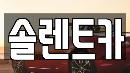 대구광역시 중구 동인동4가 장기렌트카 전문 솔렌트카