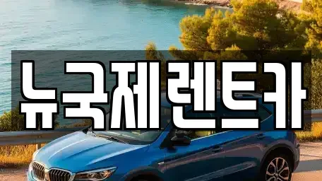 부산광역시 기장군 단기렌트카 전문 뉴국제렌트카
