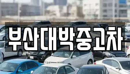 부산광역시 기장군 중고차 전문 부산대박중고차