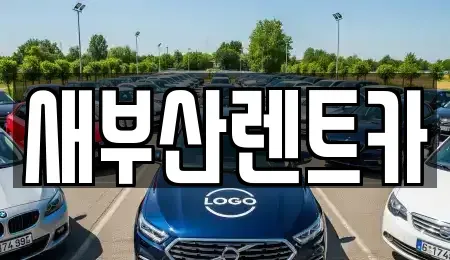 부산광역시 영도구 대교동1가 렌트카 전문 새부산렌트카