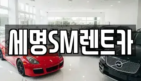 부산광역시 영도구 대교동1가 렌트카 전문 세명SM렌트카