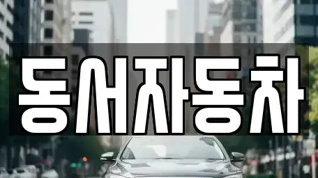 부산광역시 영도구 대교동1가 중고차 전문 동서자동차