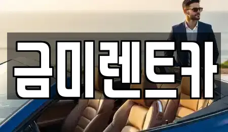 서울 영등포구 영등포동7가 렌트카 전문 금미렌트카