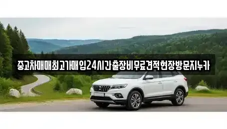 서울 영등포구 영등포동7가 중고차매입 전문 중고차매매최고가매입24시간출장비무료견적현장방문지누카