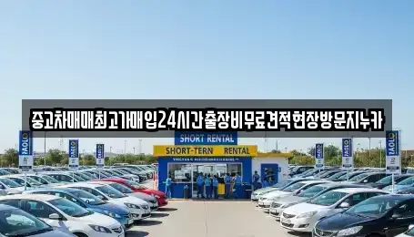 인천 서구 가정동 중고차 전문 중고차매매최고가매입24시간출장비무료견적현장방문지누카