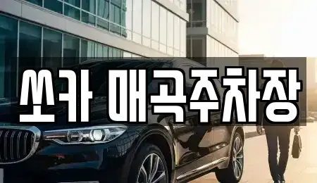 전남 순천시 남내동 렌트카 전문 쏘카 매곡주차장