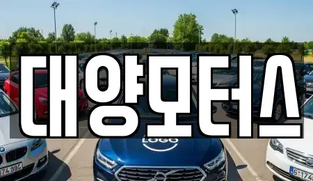 전남 순천시 남내동 중고차 전문 대양모터스