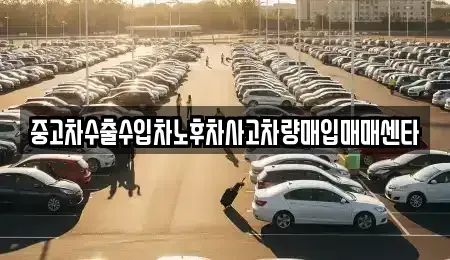 전라남도 나주시 오량동 중고차매입 전문 중고차수출수입차노후차사고차량매입매매센타