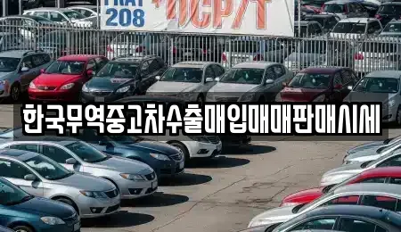 전북 김제시 서정동 중고차매입 전문 한국무역중고차수출매입매매판매시세