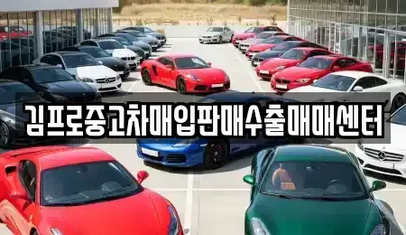 전북 전주시 완산구 다가동4가 중고차매입 전문 김프로중고차매입판매수출매매센터