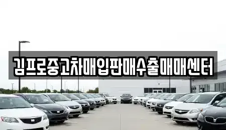 충남 보령시 오천면 중고차매입 전문 김프로중고차매입판매수출매매센터