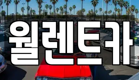 충남 천안시 서북구 성환읍 렌트카 전문 월렌트카