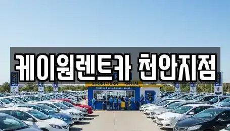 충남 천안시 서북구 성환읍 렌트카 전문 케이원렌트카 천안지점