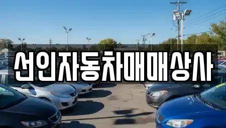 충남 천안시 서북구 성환읍 중고차매매 전문 선인자동차매매상사