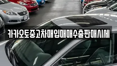 충남 천안시 서북구 성환읍 중고차매입 전문 카카오토중고차매입매매수출판매시세